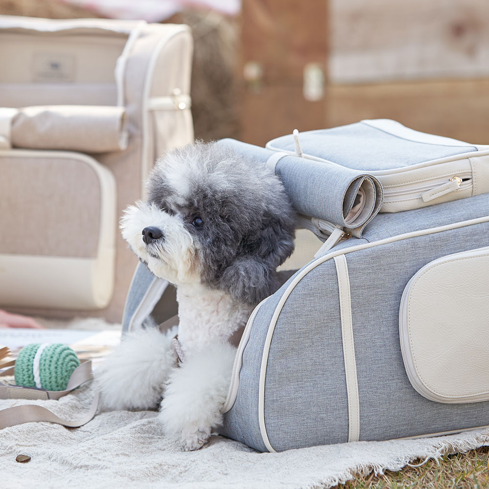 밀리옹 백허그백팩 이동가방, 강아지 고양이 이동가방